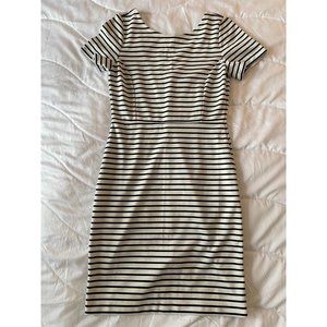NWT Banana Republic Body Con Dress Size 2P